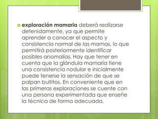  exploración mamaria deberá realizarse
detenidamente, ya que permite
aprender a conocer el aspecto y
consistencia normal de las mamas, lo que
permitirá posteriormente identificar
posibles anomalías. Hay que tener en
cuenta que la glándula mamaria tiene
una consistencia nodular e inicialmente
puede tenerse la sensación de que se
palpan bultitos. En conveniente que en
las primeras exploraciones se cuente con
una persona experimentada que enseñe
la técnica de forma adecuada.
 