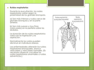  Ruidos respiratorios
Durante la auscultación, los ruidos
respiratorios varían según la
proximidad de los grandes bronquios.
a) Son más intensos y rudos cerca de
grandes bronquios y en la parte
anterior.
b) Son más suaves y muy finos
(vesiculares) en la periferia sobre los
alvéolos.
La duración de los ruidos respiratorios
varía con la inspiración y la
aspiración.
Normalmente los ruidos pueden
disminuir en individuos obesos.
Las enfermedades alterarán los ruidos
respiratorios bronquiales, bronco
vesiculares y vesiculares normales. (Es
necesario observar y localizar los
ruidos respiratorios anormales o ruidos
adventicios.)
 