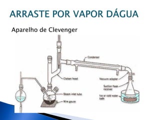 Aparelho de Clevenger
 