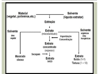 Métodos de extração