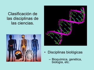 Clasificación de las disciplinas de las ciencias. Disciplinas biológicas Bioquímica, genética, biología, etc. 