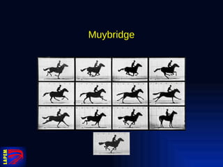 Muybridge 