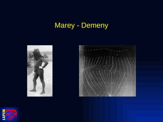 Marey - Demeny 