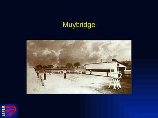 Muybridge 