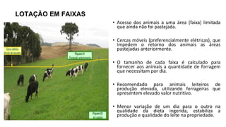 LOTAÇÃO EM FAIXAS
• Acesso dos animais a uma área (faixa) limitada
que ainda não foi pastejada.
• Cercas móveis (preferencialmente elétricas), que
impedem o retorno dos animais as áreas
pastejadas anteriormente.
• O tamanho de cada faixa é calculado para
fornecer aos animais a quantidade de forragem
que necessitam por dia.
• Recomendado para animais leiteiros de
produção elevada, utilizando forrageiras que
apresentem elevado valor nutritivo.
• Menor variação de um dia para o outro na
qualidade da dieta ingerida, estabiliza a
produção e qualidade do leite na propriedade.
 