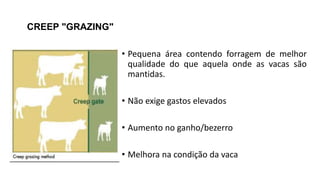 CREEP "GRAZING"
• Pequena área contendo forragem de melhor
qualidade do que aquela onde as vacas são
mantidas.
• Não exige gastos elevados
• Aumento no ganho/bezerro
• Melhora na condição da vaca
 