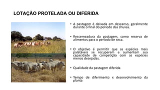 LOTAÇÃO PROTELADA OU DIFERIDA
• A pastagem é deixada em descanso, geralmente
durante o final do período das chuvas.
• Ressemeadura da pastagem, como reserva de
alimentos para o período de seca.
• O objetivo é permitir que as espécies mais
palatáveis se recuperem e aumentem sua
capacidade de competição com as espécies
menos desejadas.
• Qualidade da pastagem diferida
• Tempo de diferimento x desenvolvimento da
planta
 