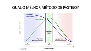 QUAL O MELHOR MÉTODO DE PASTEJO?
 