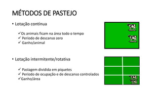 MÉTODOS DE PASTEJO
• Lotação contínua
Os animais ficam na área todo o tempo
 Período de descanso zero
 Ganho/animal
• Lotação intermitente/rotativa
 Pastagem dividida em piquetes
 Período de ocupação e de descanso controlados
Ganho/área
 