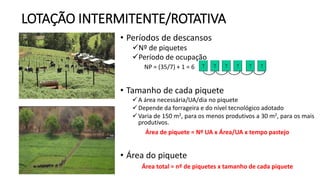 LOTAÇÃO INTERMITENTE/ROTATIVA
• Períodos de descansos
Nº de piquetes
Período de ocupação
NP = (35/7) + 1 = 6
• Tamanho de cada piquete
A área necessária/UA/dia no piquete
Depende da forrageira e do nível tecnológico adotado
Varia de 150 m2, para os menos produtivos a 30 m2, para os mais
produtivos.
Área de piquete = Nº UA x Área/UA x tempo pastejo
• Área do piquete
Área total = nº de piquetes x tamanho de cada piquete
 