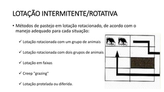 LOTAÇÃO INTERMITENTE/ROTATIVA
• Métodos de pastejo em lotação rotacionado, de acordo com o
manejo adequado para cada situação:
 Lotação rotacionada com um grupo de animais
 Lotação rotacionada com dois grupos de animais
 Lotação em faixas
 Creep "grazing"
 Lotação protelada ou diferida.
 