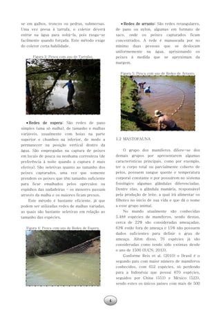 4
se em galhos, troncos ou pedras, submersas.
Uma vez presa à tarrafa, o coletor deverá
entrar na água para soltá-la, pois rasga-se
facilmente quando forçada. Este método exige
do coletor certa habilidade.
Figura 3: Pesca com uso de Tarrafas.
 Redes de espera: São redes de pano
simples (uma só malha), de tamanho e malhas
variáveis, usualmente com boias na parte
superior e chumbos na inferior, de modo a
permanecer na posição vertical dentro da
água. São empregadas na captura de peixes
em locais de pouca ou nenhuma correnteza (de
preferência à noite quando a captura é mais
efetiva). São seletivas quanto ao tamanho dos
peixes capturados, uma vez que somente
prendem os peixes que têm tamanho suficiente
para ficar emalhados pelos opérculos ou
espinhos das nadadeiras – os menores passam
através da malha e os maiores ficam presos.
Este método é bastante eficiente, já que
podem ser utilizadas redes de malhas variadas,
as quais são bastante seletivas em relação ao
tamanho das espécies.
Figura 4: Pesca com uso de Redes de Espera.
 Redes de arrasto: São redes retangulares,
de pano ou nylon, algumas em formato de
saco, onde os peixes capturados ficam
concentrados. A rede é manuseada por no
mínimo duas pessoas que se deslocam
uniformemente na água, aprisionando os
peixes à medida que se aproximam da
margem.
Figura 5: Pesca com uso de Redes de Arrasto.
1.2 MASTOFAUNA
O grupo dos mamíferos difere-se dos
demais grupos por apresentarem algumas
características principais, como por exemplo,
ter o corpo total ou parcialmente coberto de
pelos, possuem sangue quente e temperatura
corporal constante e por possuírem no sistema
fisiológico algumas glândulas diferenciadas.
Dentre elas, a glândula mamária, responsável
pela produção de leite, a qual irá alimentar os
filhotes no início de sua vida e que dá o nome
a esse grupo animal.
No mundo atualmente são conhecidas
5.488 espécies de mamíferos, sendo destas,
cerca de 22% são consideradas ameaçadas,
63% estão fora de ameaça e 15% não possuem
dados suficientes para definir o grau de
ameaça. Além disso, 76 espécies já são
consideradas como tendo sido extintas desde
o ano de 1500 (IUCN, 2013).
Conforme Reis et al. (2010) o Brasil é o
segundo país com maior número de mamíferos
conhecidos, com 652 espécies, só perdendo
para a Indonésia que possui 670 espécies,
seguidos por China (551) e México (523),
sendo estes os únicos países com mais de 500
 