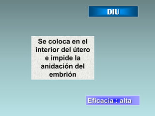 DIU


 Se coloca en el
interior del útero
   e impide la
  anidación del
     embrión


                 Eficacia : alta
 