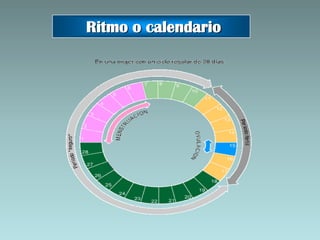 Ritmo o calendario
 