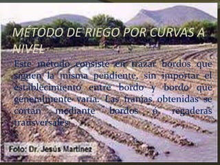 MÉTODO DE RIEGO POR CURVAS A
NIVEL
Este método consiste en trazar bordos que
siguen la misma pendiente, sin importar el
establecimiento entre bordo y bordo que
generalmente varía. Las franjas obtenidas se
cortan mediante bordos ó regaderas
transversales.
 