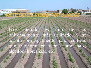 MÉTODO DE RIEGO POR SURCOS
Este método es uno de los
universalmente más utilizado, y se
adapta principalmente para cultivos
que se plantan en hileras como maíz,
algodón, hortalizas, etc.
 