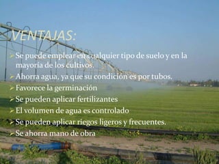 VENTAJAS:
Se puede emplear en cualquier tipo de suelo y en la
mayoría de los cultivos.
Ahorra agua, ya que su condición es por tubos.
Favorece la germinación
Se pueden aplicar fertilizantes
El volumen de agua es controlado
Se pueden aplicar riegos ligeros y frecuentes.
Se ahorra mano de obra
 