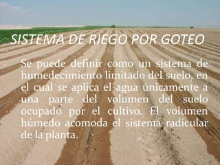 SISTEMA DE RIEGO POR GOTEO
Se puede definir como un sistema de
humedecimiento limitado del suelo, en
el cual se aplica el agua únicamente a
una parte del volumen del suelo
ocupado por el cultivo. El volumen
húmedo acomoda el sistema radicular
de la planta.
 