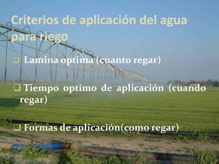 Criterios de aplicación del agua
para riego
 Lamina optima (cuanto regar)
 Tiempo optimo de aplicación (cuando
regar)
 Formas de aplicación(como regar)
 