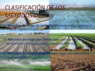 CLASIFICACIÓN DE LOS
MÉTODOS DE RIEGO
a) Métodos de riego de inundación son: melgas, curvas a
nivel, cajetes o cuadros.
b) Métodos de riego por líneas son: surcos rectos, surcos
en contorno, corrugaciones y camas meloneras.
c) Métodos de riego a presión son: riego por aspersión y
riego por goteo.
 