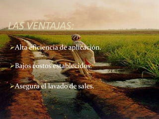 LAS VENTAJAS:
Alta eficiencia de aplicación.
Bajos costos establecidos.
Asegura el lavado de sales.
 