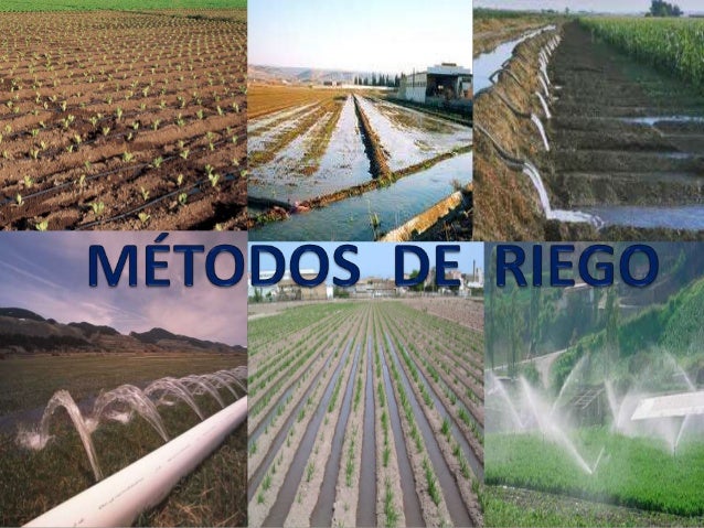 Resultado de imagen para metodo de riego