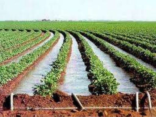 Metodo De Riego Por Curvas A Nivel es.slideshare.net