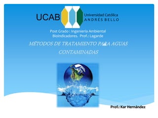UCAB Universidad Católica
A N D R É S B E L L O
Prof.: Kar Hernández
Post Grado : Ingeniería Ambiental
Bioindicadores. Prof.: Lagarde
 