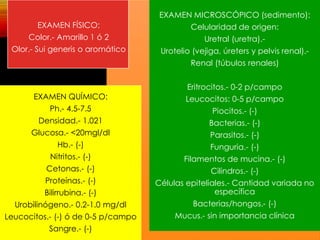 EXAMEN MICROSCÓPICO (sedimento):
Celularidad de origen:
Uretral (uretra).-
Urotelio (vejiga, úreters y pelvis renal).-
Renal (túbulos renales)
Eritrocitos.- 0-2 p/campo
Leucocitos: 0-5 p/campo
Piocitos.- (-)
Bacterias.- (-)
Parasitos.- (-)
Funguria.- (-)
Filamentos de mucina.- (-)
Cilindros.- (-)
Células epiteliales.- Cantidad variada no
específica
Bacterias/hongos.- (-)
Mucus.- sin importancia clínica
EXAMEN QUÍMICO:
Ph.- 4.5-7.5
Densidad.- 1.021
Glucosa.- <20mgl/dl
Hb.- (-)
Nitritos.- (-)
Cetonas.- (-)
Proteínas.- (-)
Bilirrubina.- (-)
Urobilinógeno.- 0.2-1.0 mg/dl
Leucocitos.- (-) ó de 0-5 p/campo
Sangre.- (-)
EXAMEN FÍSICO:
Color.- Amarillo 1 ó 2
Olor.- Sui generis o aromático
 