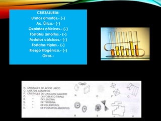 CRISTALURIA:
Uratos amorfos.- (-)
Ac. Úrico.- (-)
Oxalatos cálcicos.- (-)
Fosfatos amorfos.- (-)
Fosfatos cálcicos.- (-)
Fosfatos triples.- (-)
Riesgo litogénico.- (-)
Otros.-
 
