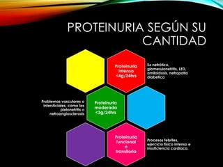 PROTEINURIA SEGÚN SU
CANTIDAD
Proteinuria
intensa
<4g/24hrs
Sx nefrótico,
glomerulonefritis, LED,
amiloidosis, nefropatia
diabetica
Proteinuria
moderada
<3g/24hrs
Problemas vasculares o
intersticiales, como las
pielonefritis o
nefroangiosclerosis
Proteinuria
funcional
o
transitoria
Procesos febriles,
ejercicio físico intenso e
insuficiencia cardiaca.
 