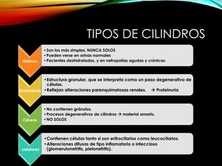 TIPOS DE CILINDROS
Hialinos
•Son los más simples. NUNCA SOLOS
•Pueden verse en orinas normales
•Pacientes deshidratados, y en nefropatías agudas y crónicas.
Granulosos
•Estructura granular, que se interpreta como un paso degenerativo de
células.
•Reflejan alteraciones parenquimatosas renales.  Proteinuria
Céreos
•No contienen gránulos.
•Procesos degenerativos de cilindros  material amorfo.
•NO SOLOS
celulares
•Contienen células tanto si son eritrocitarios como leucocitarios.
•Alteraciones difusas de tipo inflamatorio o infeccioso
(glomerulonefritis, pielonefritis).
 