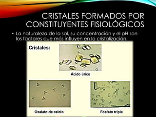 CRISTALES FORMADOS POR
CONSTITUYENTES FISIOLÓGICOS
• La naturaleza de la sal, su concentración y el pH son
los factores que más influyen en la cristalización.
Cristales de
fosfato
cálcico
Orina alcalina y se
disuelven con ácido
acético o ácido
clorhídrico diluido
1. Cristales
de oxalato
de calcio 2.
Cristales de
ácido úrico
1.- Medio acido.
Forma de sobre
2.- Orina acida/ calor
Cristales de
fosfato
Infección urinaria
 