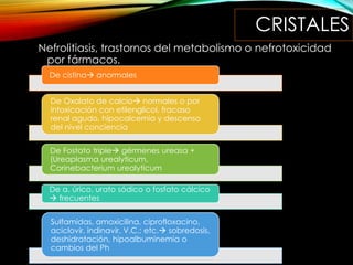 CRISTALES
Nefrolitiasis, trastornos del metabolismo o nefrotoxicidad
por fármacos.
De cistina anormales
De Oxalato de calcio normales o por
intoxicación con etilenglicol, fracaso
renal agudo, hipocalcemia y descenso
del nivel conciencia
De Fostato triple gérmenes ureasa +
(Ureaplasma urealyticum,
Corinebacterium urealyticum
De a. úrico, urato sódico o fosfato cálcico
 frecuentes
Sulfamidas, amoxicilina, ciprofloxacino,
aciclovir, indinavir, V.C.; etc. sobredosis,
deshidratación, hipoalbuminemia o
cambios del Ph
 