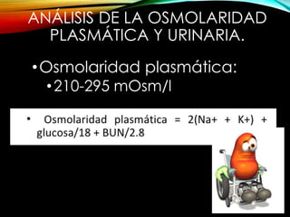 ANÁLISIS DE LA OSMOLARIDAD
PLASMÁTICA Y URINARIA.
•Osmolaridad plasmática:
•210-295 mOsm/l
 