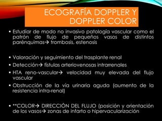 ECOGRAFÍA DOPPLER Y
DOPPLER COLOR
 Estudiar de modo no invasivo patología vascular como el
patrón de flujo de pequeños vasos de distintos
parénquimas trombosis, estenosis
 Valoración y seguimiento del trasplante renal
 Detección fístulas arteriovenosas intrarrenales
 HTA reno-vascular velocidad muy elevada del flujo
vascular
 Obstrucción de la vía urinaria aguda (aumento de la
resistencia intra-renal)
 **COLOR DIRECCIÓN DEL FLUJO (posición y orientación
de los vasos zonas de infarto o hipervacularización
 