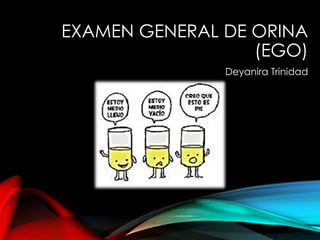EXAMEN GENERAL DE ORINA
(EGO)
Deyanira Trinidad
 