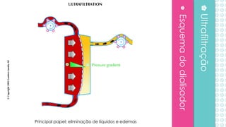 Esquemadodialisador
Ultrafiltração
Principal papel: eliminação de líquidos e edemas
 