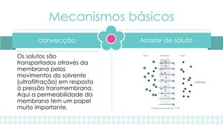 Arraste de solutoconvecção
Mecanismos básicos
Os solutos são
transportados através da
membrana pelos
movimentos do solvente
(ultrafiltração) em resposta
à pressão transmembrana.
Aqui a permeabilidade da
membrana tem um papel
muito importante.
 