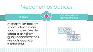 Gradientes de
concentraçãodifusão
Mecanismos básicos
as moléculas movem-
se casualmente em
todas as direções de
forma a atingirem
iguais concentrações
nos dois lados da
membrana.
 