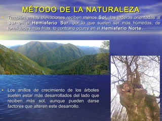 MÉTODO DE LA NATURALEZAMÉTODO DE LA NATURALEZA
• Los anillos de crecimiento de los árbolesLos anillos de crecimiento de los árboles
suelen estar más desarrollados del lado quesuelen estar más desarrollados del lado que
reciben más sol, aunque pueden darsereciben más sol, aunque pueden darse
factores que alteren este desarrollo.factores que alteren este desarrollo.
• También en las elevaciones reciben menosTambién en las elevaciones reciben menos Sol,Sol, las laderas orientadas allas laderas orientadas al
SurSur en elen el Hemisferio SurHemisferio Sur ,, por lo que suelen ser más húmedas, depor lo que suelen ser más húmedas, de
tonalidades más frías, lo contrario ocurre en eltonalidades más frías, lo contrario ocurre en el Hemisferio NorteHemisferio Norte ..
 