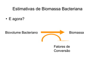Estimativas de Biomassa Bacteriana E agora? Biovolume Bacteriano Biomassa Fatores de Conversão 