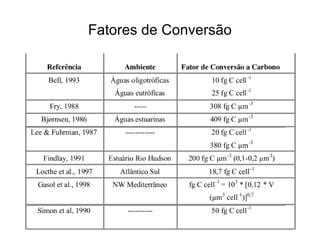 Fatores de Conversão 