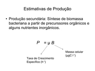 Estimativas de Produção Produção secundária: Síntese de biomassa bacteriana a partir de precurssores orgânicos e alguns nutrientes inorgânicos. d B/ d t  =  µ  B Massa celular ( µ gC l -1 )‏ Taxa de Crescimento Específico (h -1 )‏ P 
