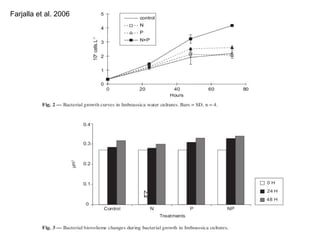 Farjalla et al. 2006 