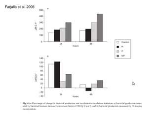 Farjalla et al. 2006 