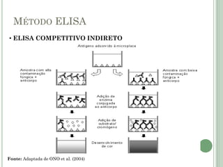 MÉTODO ELISA
Fonte: Adaptada de ONO et al. (2004)
• ELISA COMPETITIVO INDIRETO
 