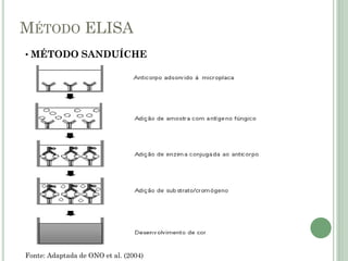 MÉTODO ELISA
• MÉTODO SANDUÍCHE
Fonte: Adaptada de ONO et al. (2004)
 