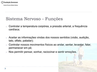 Sistema Nervoso - Funções
o Controlar a temperatura corpórea, a pressão arterial, a frequência
cardíaca;
o Aceitar as informações vindas dos nossos sentidos (visão, audição,
tato, olfato, paladar);
o Controlar nossos movimentos físicos ao andar, sentar, levantar, falar,
permanecer em pé;
o Nos permitir pensar, sonhar, raciocinar e sentir emoções.
 