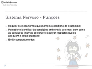 Sistema Nervoso - Funções
o Regular os mecanismos que mantém o equilíbrio do organismo;
o Perceber e identificar as condições ambientais externas, bem como
as condições internas do corpo e elaborar respostas que se
adequem a estas situações;
o Emitir comportamentos.
 
